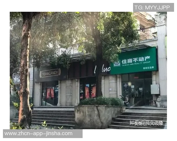 如何代理金沙娱乐-如何代理金沙娱乐，一个全面的指南-如何代理金沙娱乐